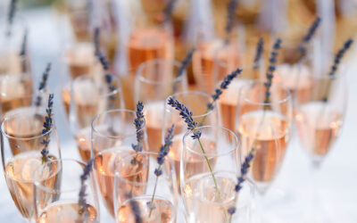 Kuplien kuningaskunta Champagne 2.–5.5.2026